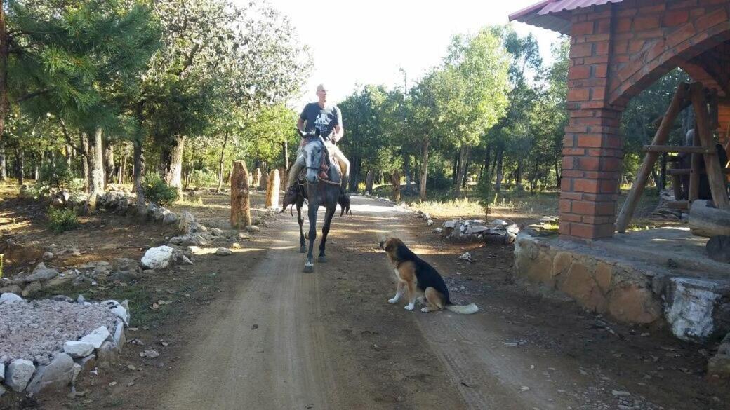 Rancho Cabanas San Isidro Cerocahui Luaran gambar