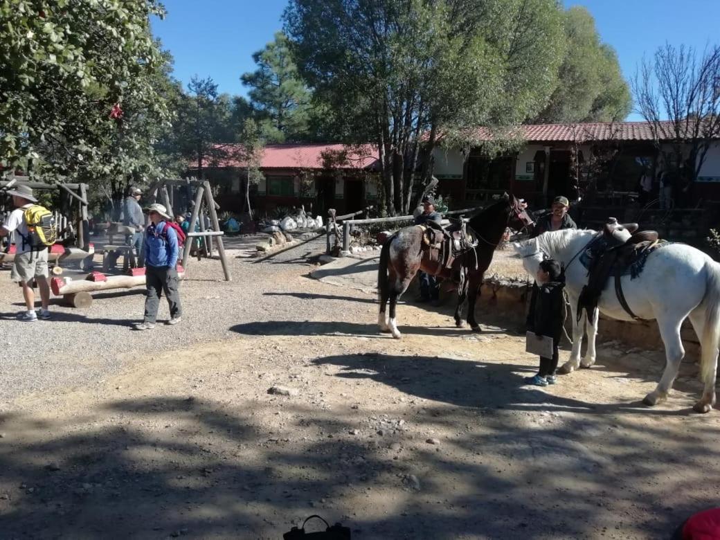Rancho Cabanas San Isidro Cerocahui Luaran gambar